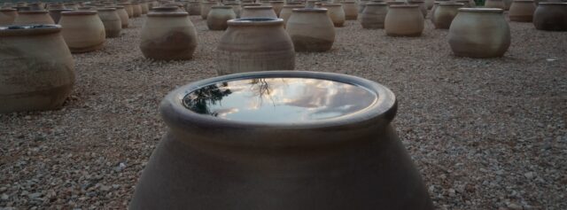 Η Δανάη Στράτου είναι η φετινή νικήτρια του Βραβείου Τέχνης 2025 του Ιδρύματος Γ. & Α. Μαμιδάκη.