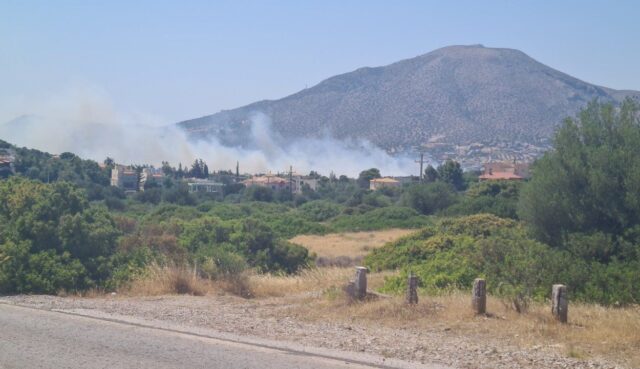 Συναγερμός για φωτιά κοντά σε σπίτια στην Ανάβυσσο – Ήχησε το 112