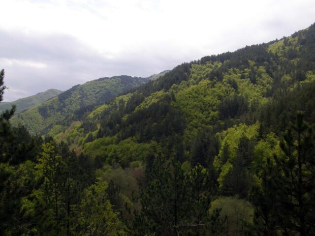 Δράμα: Δεν βρέθηκαν ίχνη επίθεσης από αρκούδα στη σορό του ορειβάτη