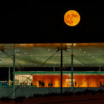 Full Moon Sleepover: Στις 10 Ιουλίου το Πάρκο Σταύρος Νιάρχος ξενυχτάει