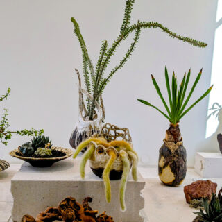 Φυτεμένα κεραμικά σε γκαλερί από το NERAW: Η πιο ήσυχη επανάσταση της τέχνης στην πόλη