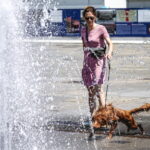 Ιταλία: Τουλάχιστον 16 νεκροί από τον καύσωνα