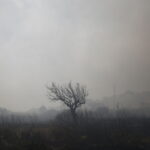 Σε ύφεση η πυρκαγιά σε δασική έκταση στον Φενεό