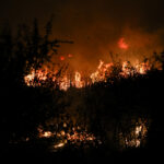 Oριοθετήθηκε η φωτιά στην Οινόη Αττικής