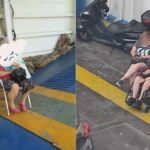 Θάσος: Παιδί ΑμεΑ και καρδιοπαθής ταξίδεψαν στο γκαράζ του φέρι μποτ εν μέσω καύσωνα