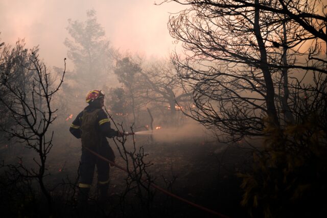 Φωτιά στα Μιτζαίικα Αχαΐας