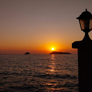 Αν πας στη Λέσβο, δοκίμασε κολοκυθολούλουδα στον Αγροτουριστικό Συνεταιρισμό Γυναικών Πέτρας