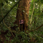 «Χταπόδι»: Το περιοδικό του ΕΜΣΤ επιστρέφει με 2ο τεύχος