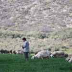 Διαμαρτυρία κτηνοτρόφων στη Περιφέρεια Θεσσαλίας για την ευλογιά των αιγοπροβάτων