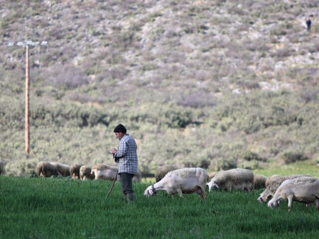 Σε κατάσταση έκτακτης ανάγκης η Λέσβος λόγω αφθώδους πυρετού