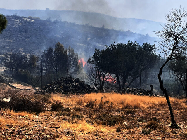 Λέσβος: Υπό έλεγχο η πυρκαγιά στην Μονή Λειμώνος