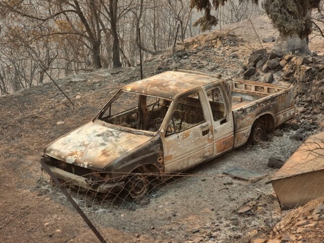 Πυρκαγιές: Ξεκινούν οι αυτοψίες στις πληγείσες περιοχές