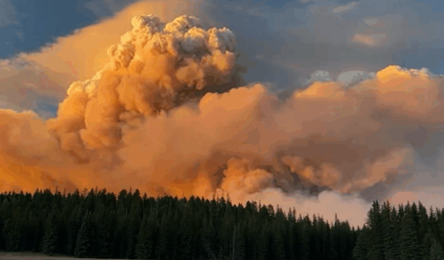 Ανεξέλεγκτη μαίνεται επί έναν μήνα η πυρκαγιά στο Γκραντ Κάνιον