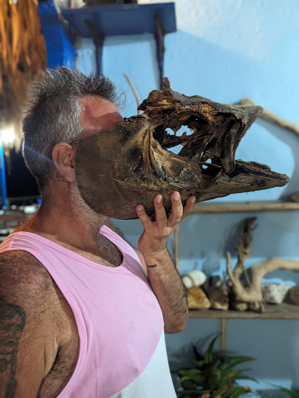 Ikaria State of Mind