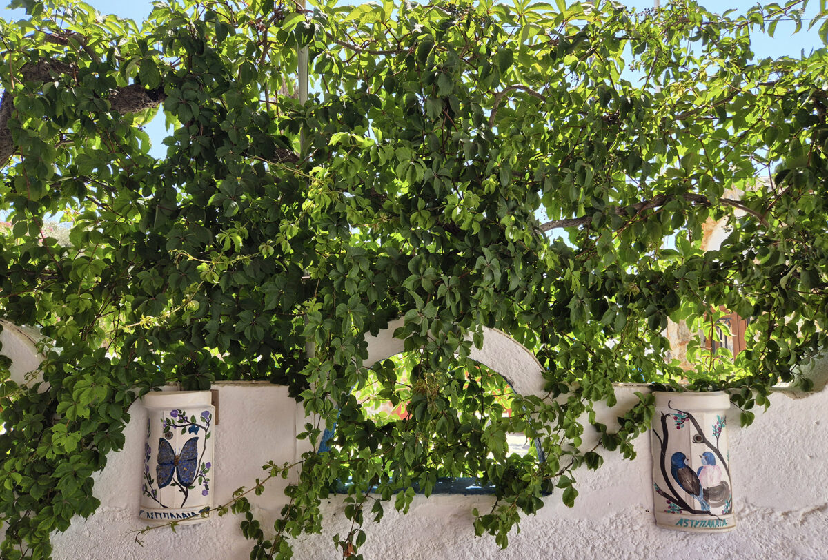 Καφεγλυκατζίδικο Μαρίνος