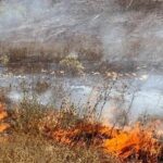 Φωτιά τώρα στο Λαύριο: Νέο 112 – «Εκκενώστε το Θορικό»