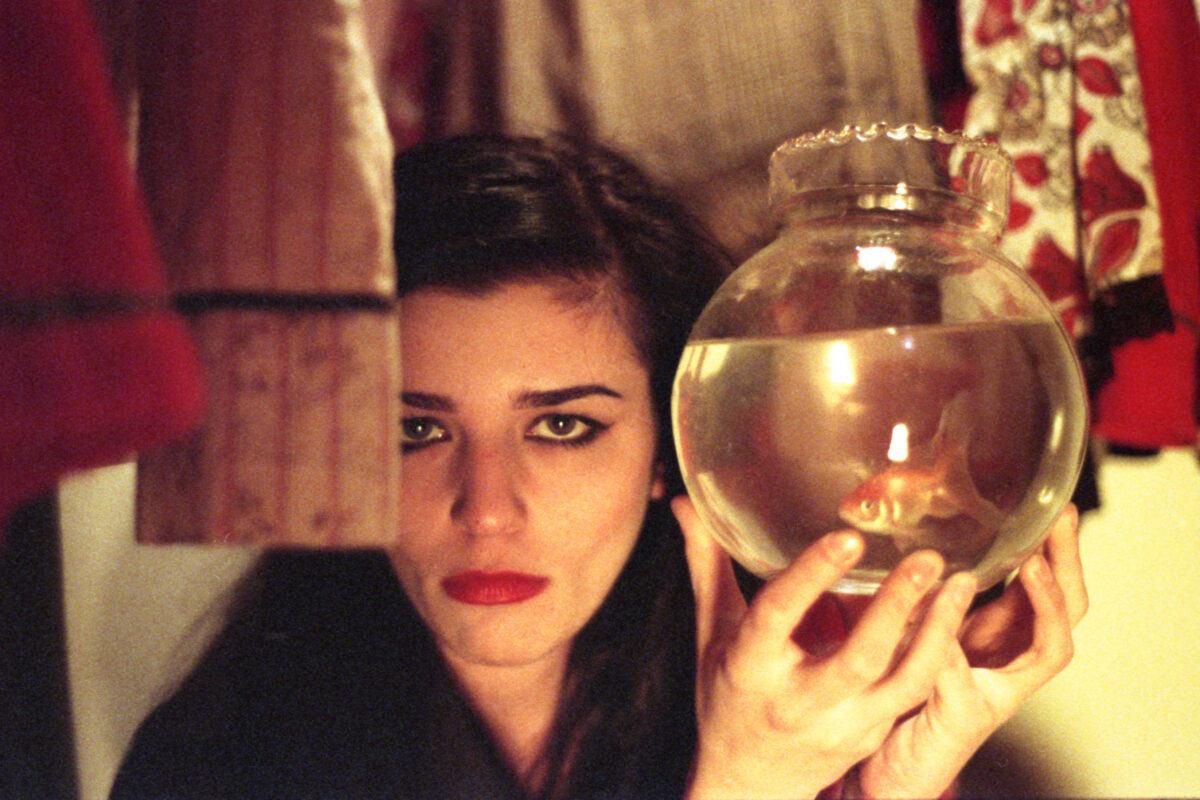 15 χρόνια Στέγης