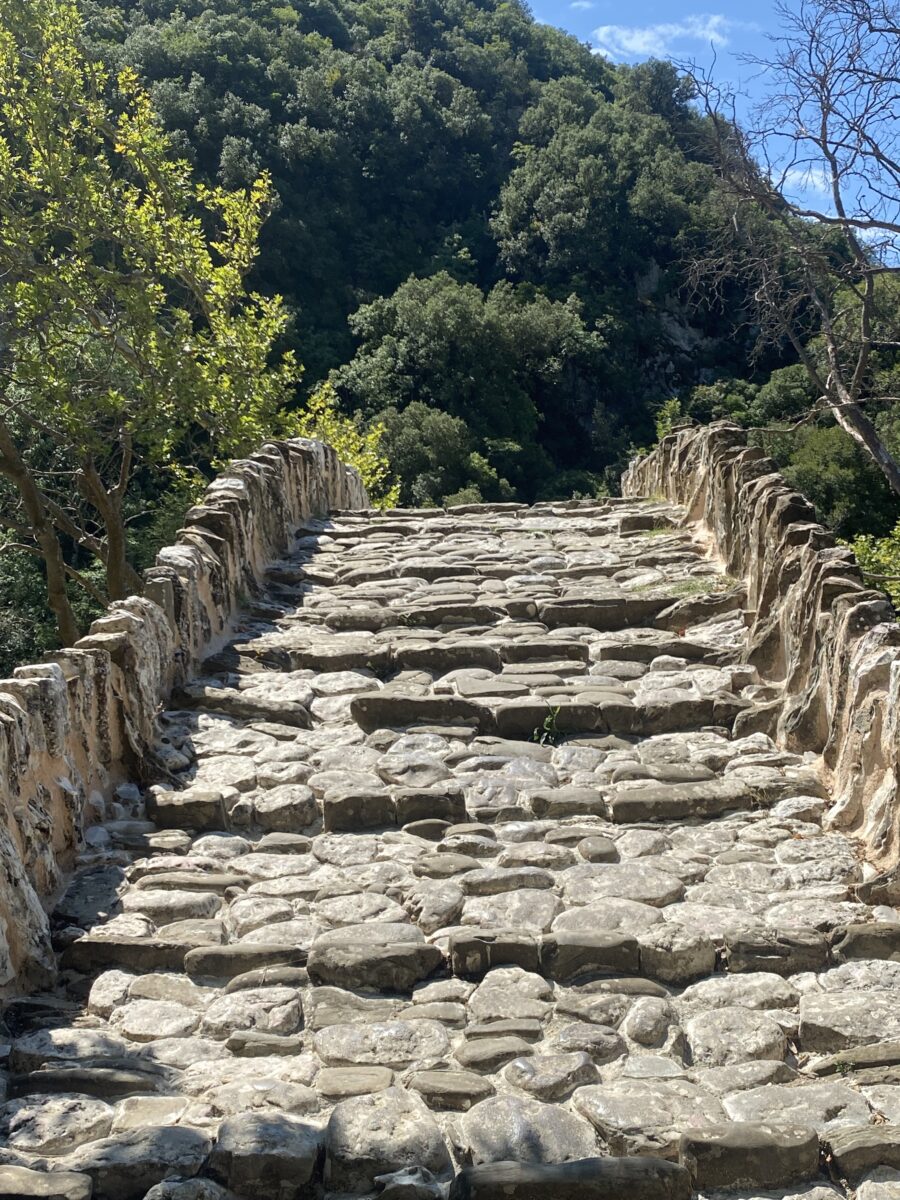 Γεωπάρκο Βίκου–Αώου