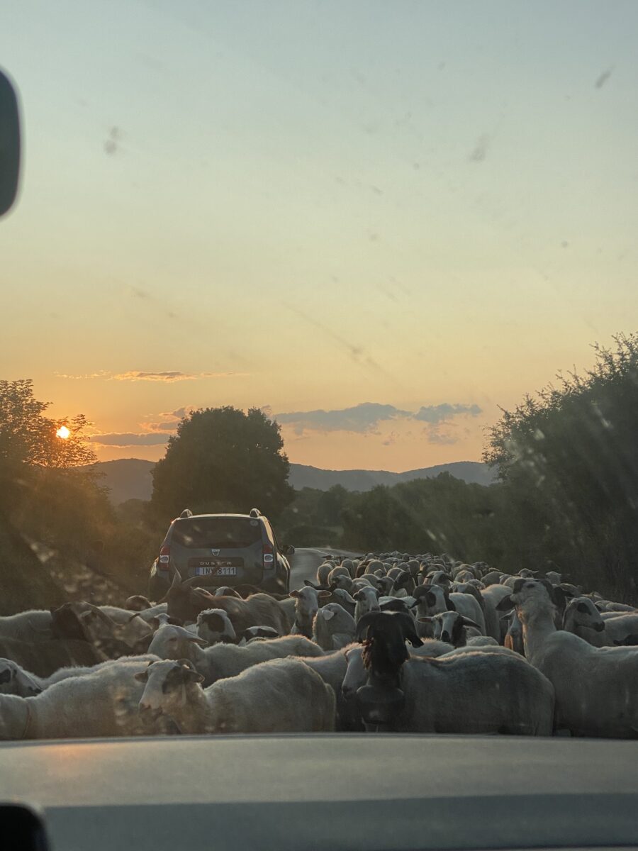 Γεωπάρκο Βίκου–Αώου