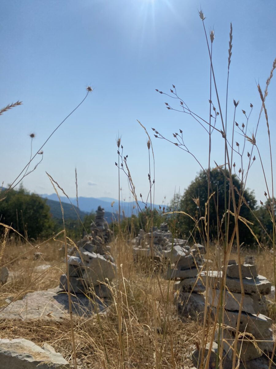 Γεωπάρκο Βίκου–Αώου: