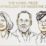 Οι επιστήμονες Μπράνκοου, Ράμσντελ και Σακαγκούτσι τιμήθηκαν με το Νόμπελ Ιατρικής