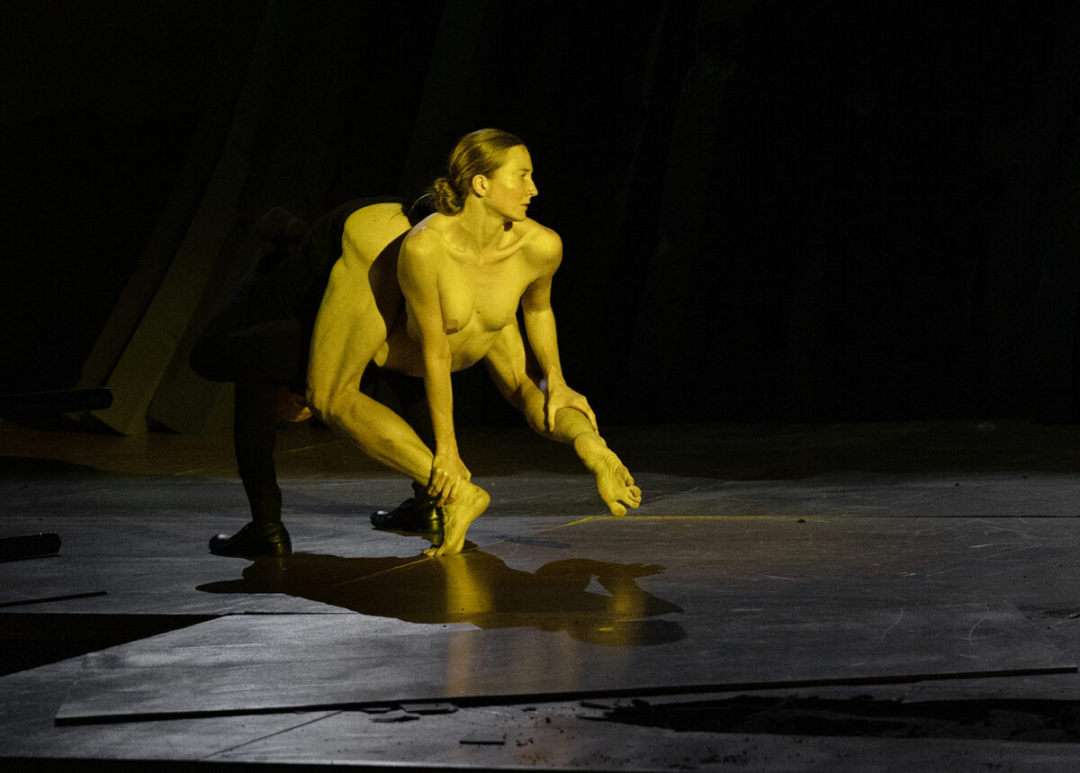 Δημήτρης Παπαϊωάννου - Μουσείο Κυκλαδικής Τέχνης