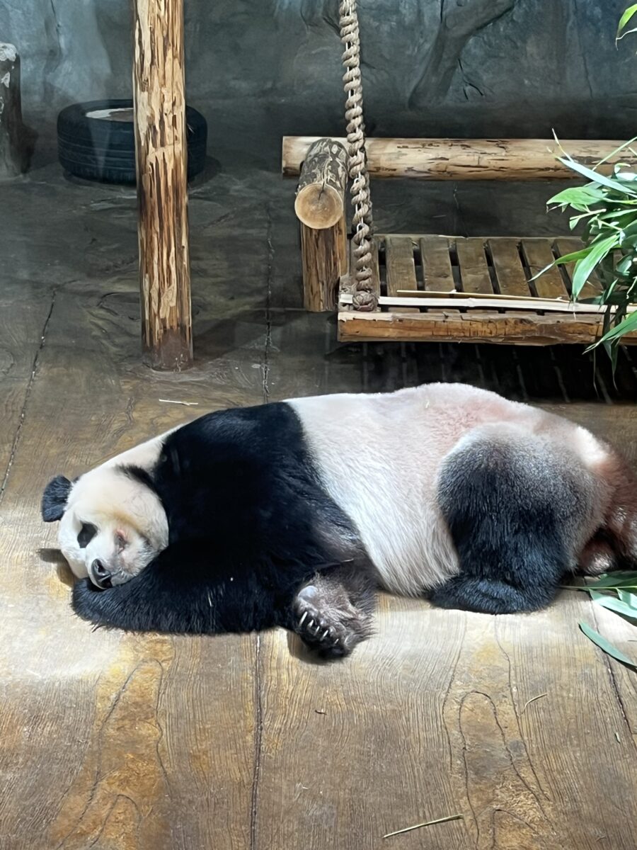 Βασίλης Λέμπερος