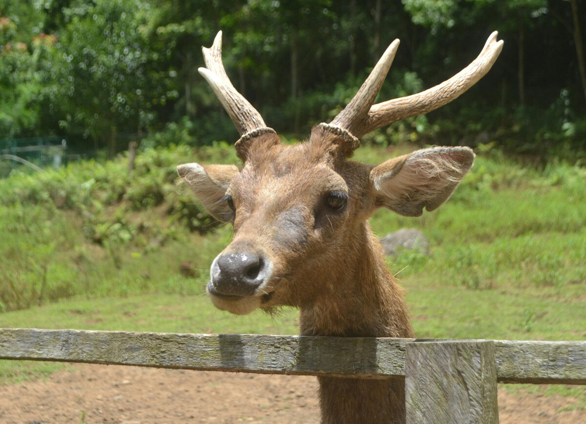 ταξική ανισότητα