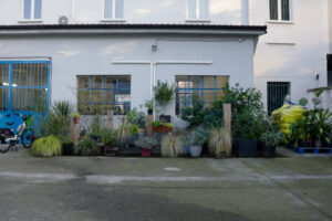 Ο Ιταλός που δημιουργεί τις πιο όμορφες συνθέσεις από τα φυτά και λουλούδια που διασώζει από τον δρόμο