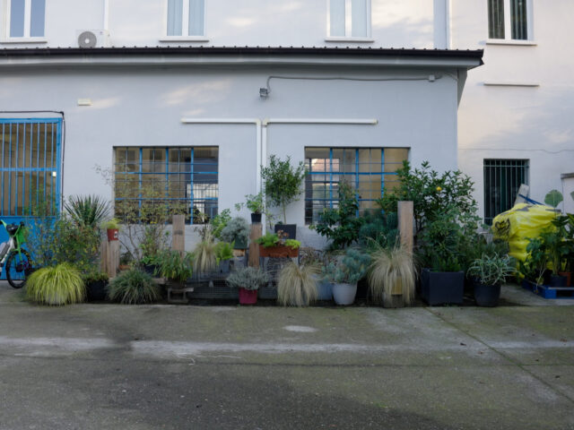 Ο Ιταλός που δημιουργεί τις πιο όμορφες συνθέσεις από τα φυτά και λουλούδια που διασώζει από τον δρόμο