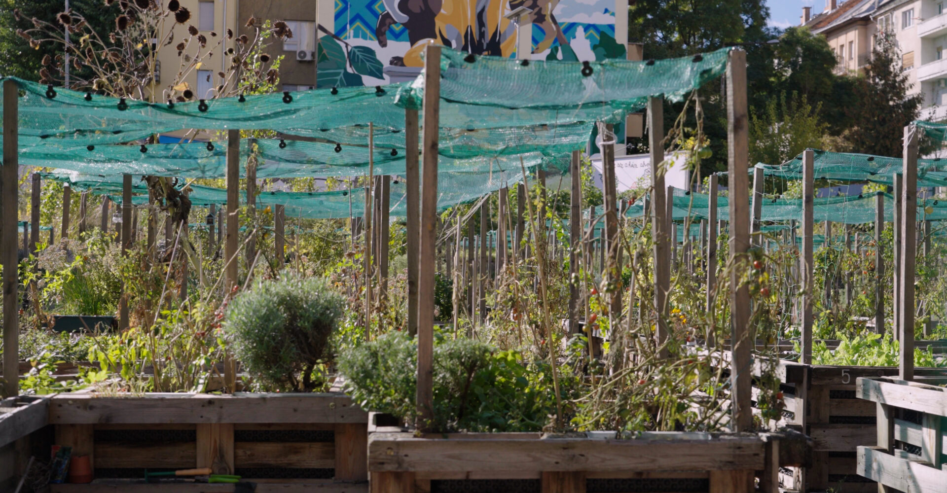 Στη Βουδαπέστη ένας κλιματικός κήπος είναι η απόδειξη ότι μπορούμε να έχουμε δάση στο κέντρο της πόλης