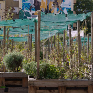 Στη Βουδαπέστη ένας κλιματικός κήπος είναι η απόδειξη ότι μπορούμε να έχουμε δάση στο κέντρο της πόλης