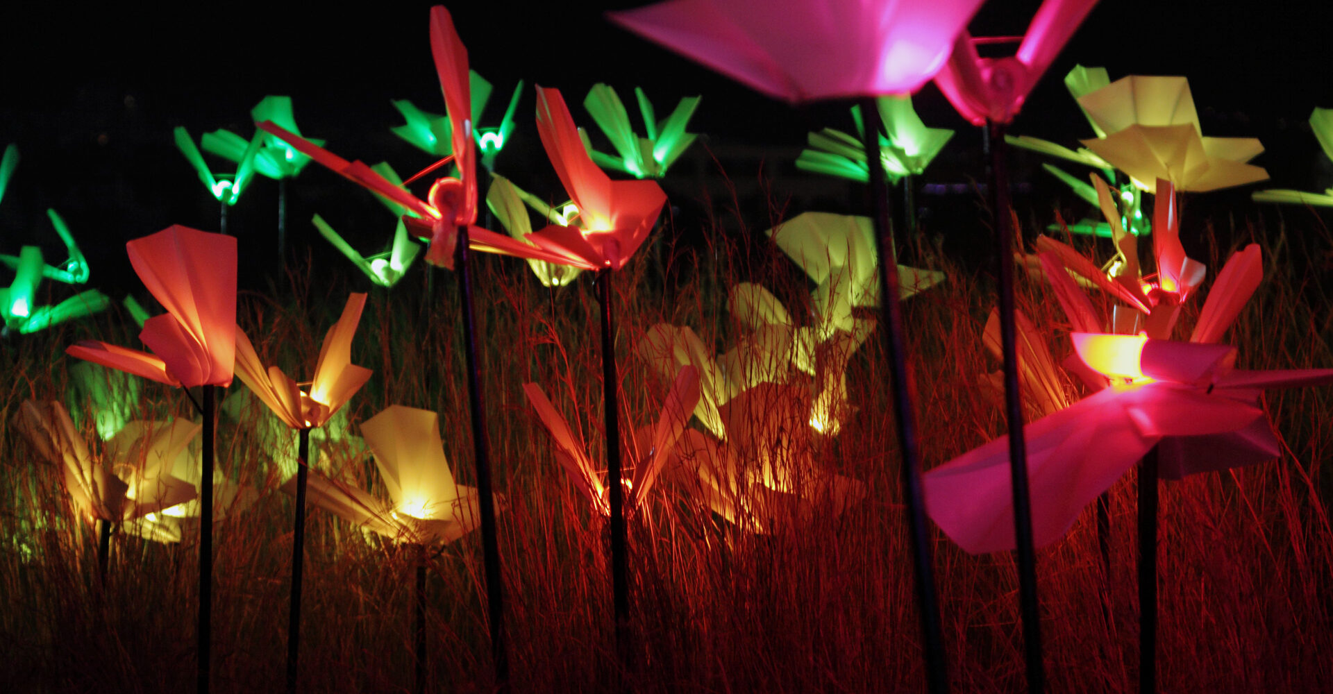 Το BioLumina στο ΚΠΙΣΝ φωτίζει φέτος τις χριστουγεννιάτικες νύχτες μας