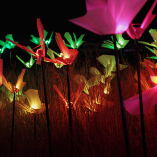 Το BioLumina στο ΚΠΙΣΝ φωτίζει φέτος τις χριστουγεννιάτικες νύχτες μας