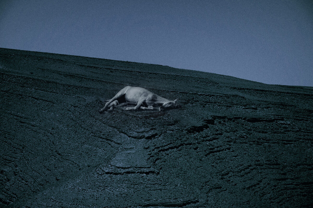 ΑΝΘΟΤΑΞΙΕΣ: 35 σύγχρονες ελληνίδες φωτογράφοι σε μία έκδοση