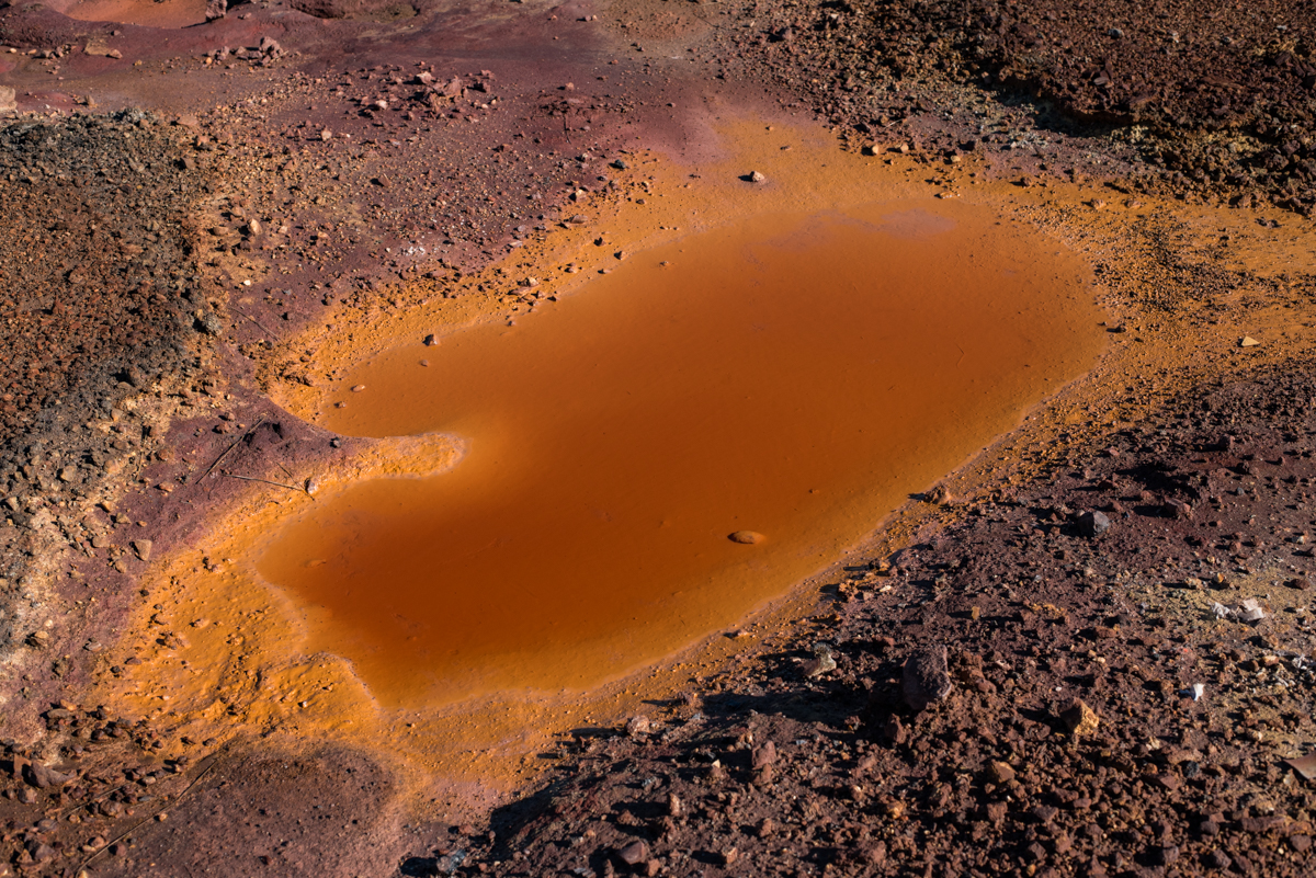 Ελισάβετ Μαρία Καρακλή 