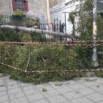 Θεσσαλονίκη: Μεγάλο δέντρο έπεσε σε δύο αυτοκίνητα στη Χαριλάου