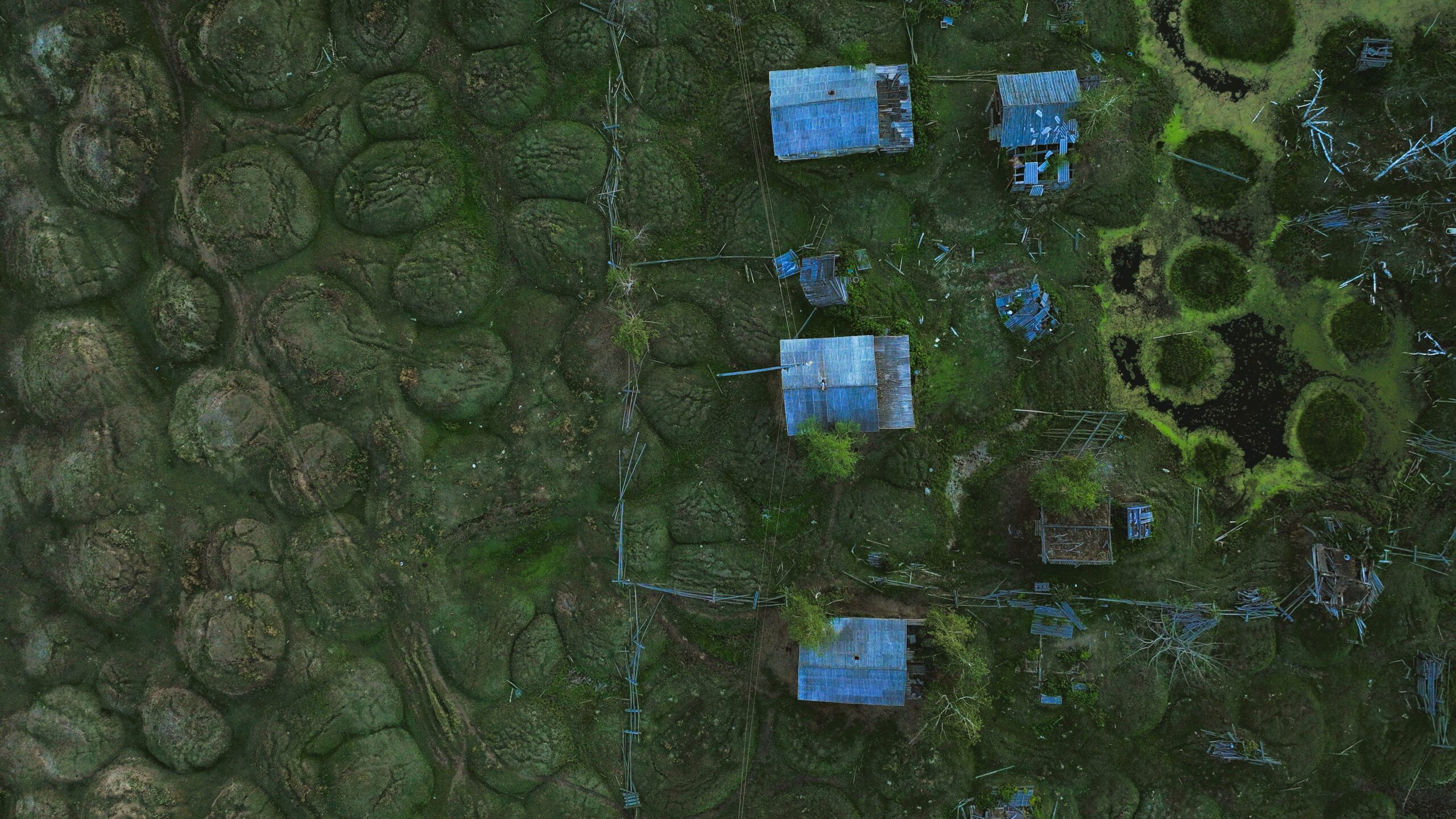 Γιώργος Αυγερόπουλος