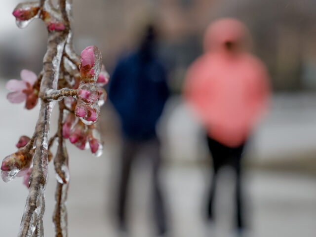ΗΠΑ: Τους 30 έφτασαν οι νεκροί από το πολικό ψύχος που πλήττει τη χώρα