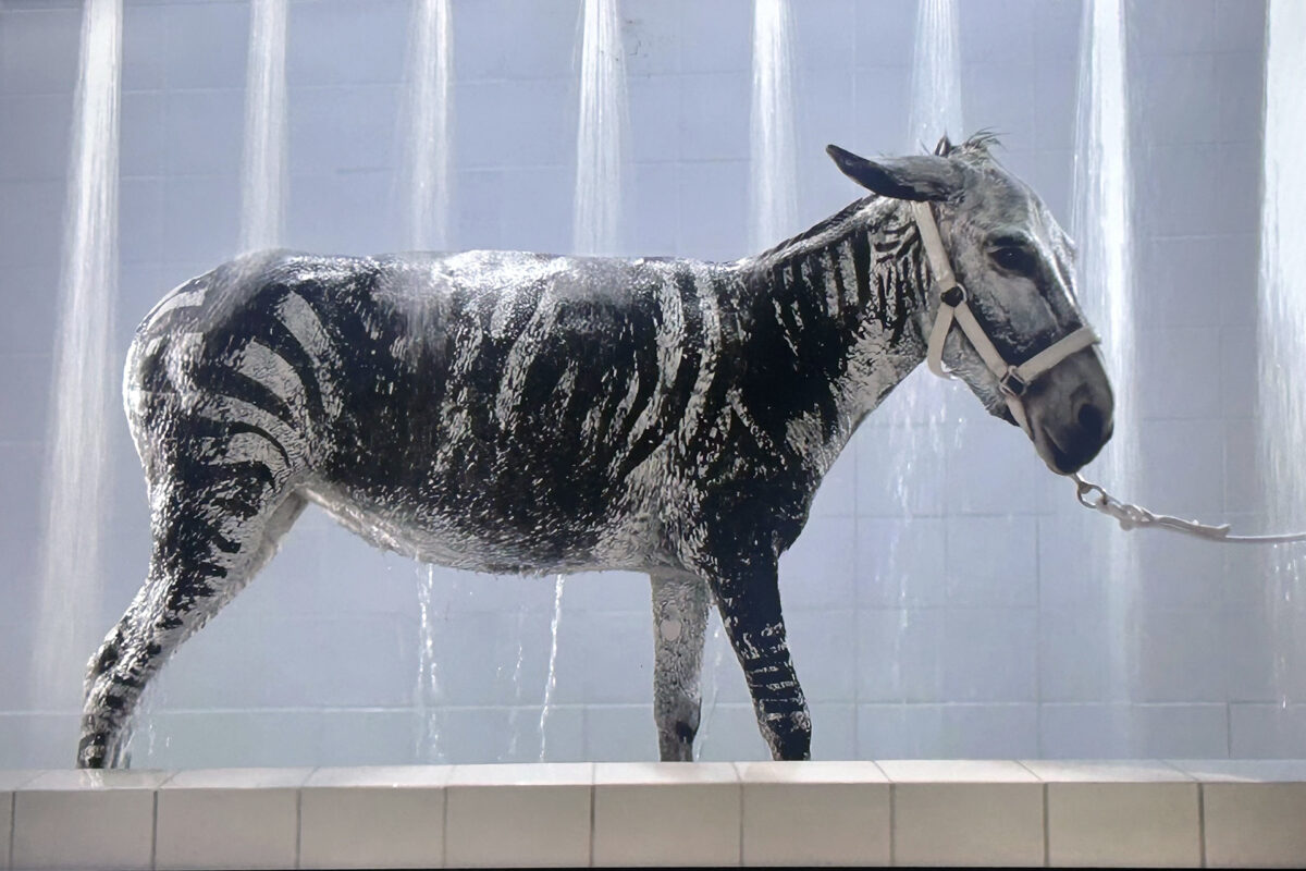 Still από το video του Sharif Waked “Bath Time”