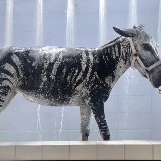 Είναι η σημαντικότερη έκθεση στην Αθήνα η «All Eyes on Palestine»;