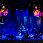 Στα παρασκήνια του «OVO»: Βρεθήκαμε στον μαγικό κόσμο του Cirque du Soleil στην Αγγλία