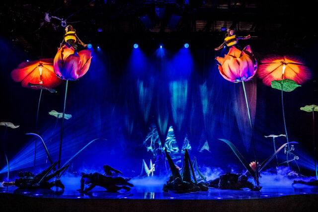 Στα παρασκήνια του «OVO»: Βρεθήκαμε στον μαγικό κόσμο του Cirque du Soleil στην Αγγλία