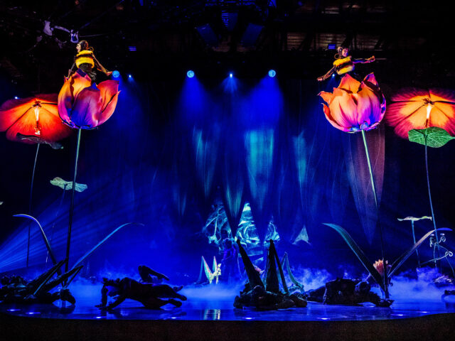 Στα παρασκήνια του «OVO»: Βρεθήκαμε στον μαγικό κόσμο του Cirque du Soleil στην Αγγλία