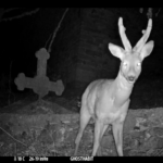 Ελληνικός μήνας & Θαλασσόκαμπος: Finissage των εκθέσεων στο ΕΜΣΤ