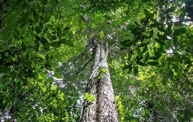 Κι όμως, υπάρχει μια χώρα που έχει καταφέρει να είναι πλήρως αυτάρκης σε τρόφιμα 