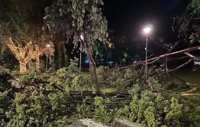 Αλεξανδρούπολη: Το φαινόμενο που σε λίγα λεπτά σάρωσε τα πάντα στο διάβα του