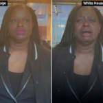 ΗΠΑ: Ο Λευκός Οίκος δημοσίευσε ρετουσαρισμένη φωτογραφία διαδηλώτριας
