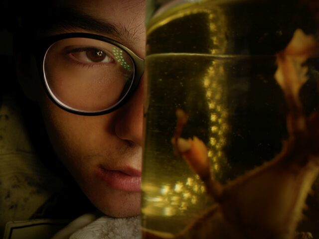 Με 57 ελληνικά ντοκιμαντέρ το πρόγραμμα του 28ου ΦΝΘ