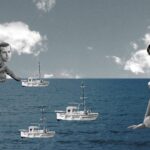 Το Beyond Borders Διεθνές Φεστιβάλ Ντοκιμαντέρ Καστελλορίζου ταξιδεύει στην Αθήνα